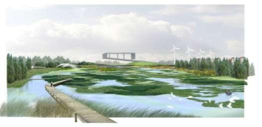 Zero net loss of natural wetland Estuary wetland conservation Engineering wetland Public