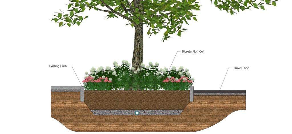 Figure 8: Bioretention Curb Bump-out Figure 9: Bioretention Tree Box