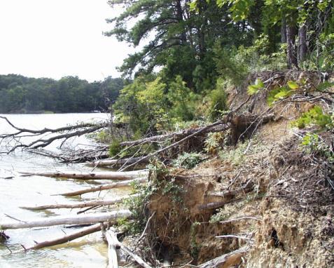 Banks Level of erosion? (low or high) Forested shoreline?