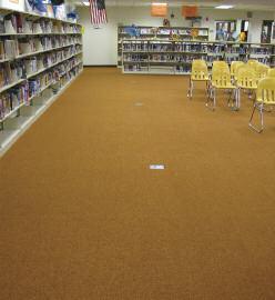 UNENHANCED BEFORE/AFTER PHOTOS: Carpet and Tile - School