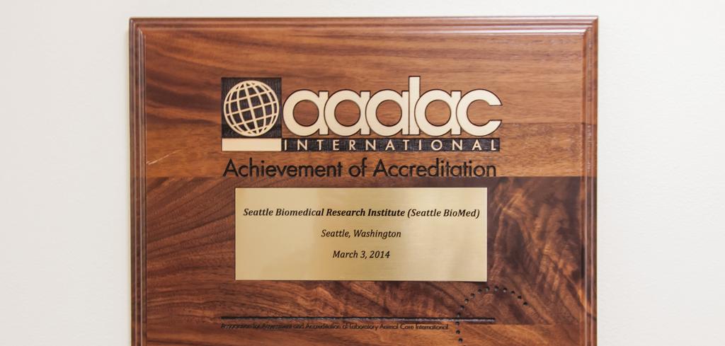 AAALAC Accreditation Once the remodel and reconfiguration was completed and occupied, it was possible to request our first accreditation site visit by AAALAC in November 2013.