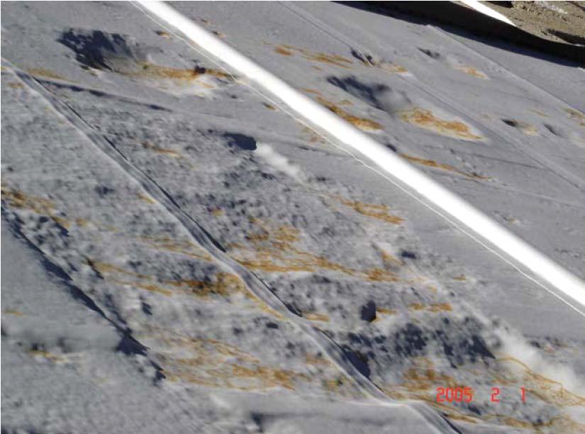 Figure 6. View of geomembrane conditions after dewatering following one year of operation.