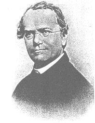Gregor Mendel- Father of Genetics -Austrian monk/ teacher -Began experimenting with garden peas in 1856 -Made use of Scientific Method -First to use the