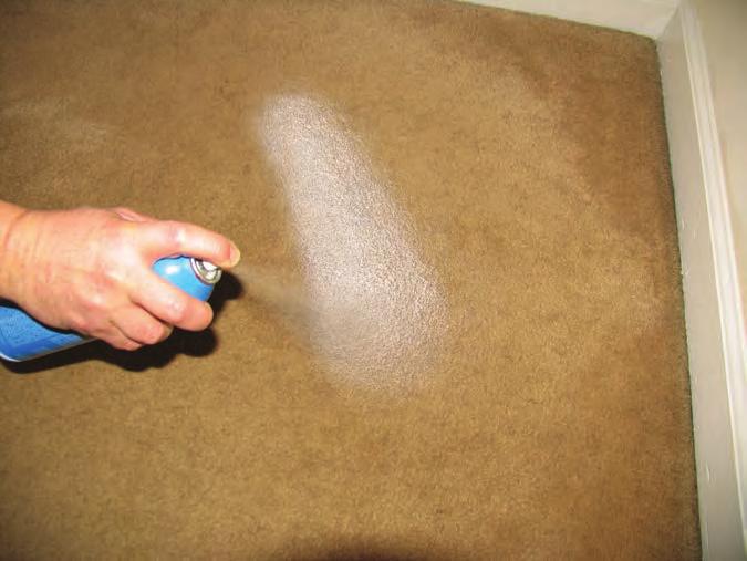 CARPET ODORS Urine, vomit, feces & pet odors carpets can take a beating.