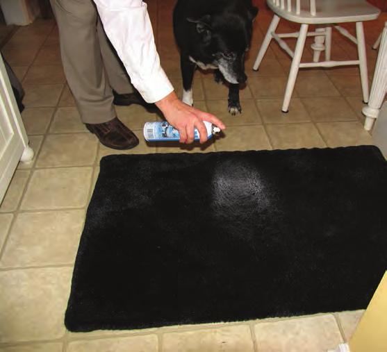 PET BEDS Keep pet bedding fresh and clean with a quick spray of Foam Fresh.
