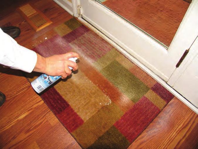 ENTRY RUGS The entry rugs in your home stop all the dirt and grime from entering into your home.