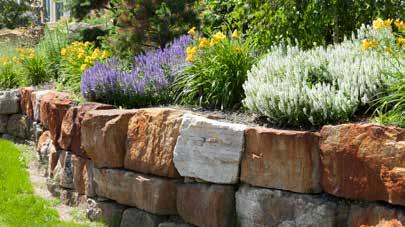 Landscape and Garden Accent Ideas If you are looking for ideas on how to enhance your garden with accent pieces and design elements, we have you covered.