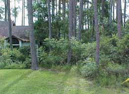 7 Firewise Landscaping to Reduce Wildfire Risk 108 Case Study: Defensible Space at the Cypress Knoll Firewise House In the wake of the 1998 wildfires in central Florida, which burned a number of