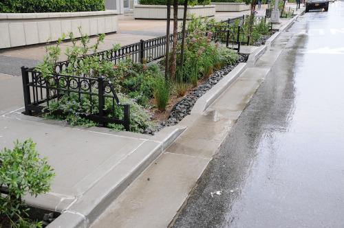 Green Street As shown here, a green street program can be utilized as a storm water management tool.