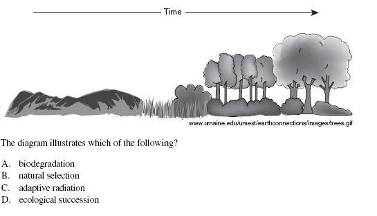 3. Secondary Succession. This is the development of an area after a major catastrophic event such as a forest fire.