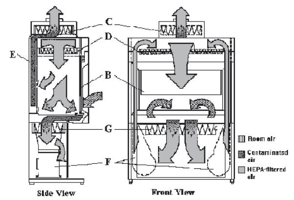 Figure 4. Canopy (thimble) unit for ducting a Class II, Type A BSC. A. balancing damper, B. flexible connector to exhaust system, C. cabinet exhaust HEPA filter housing, D. canopy unit, E. BSC. Note: There is a 1 gap between the canopy unit (D) and the exhaust filter housing (C), through which room air is exhausted.
