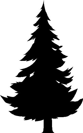 EVERGREEN TREES- Cont.