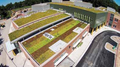 WHY BUILD A GREEN ROOF? STORM WATER MANAGEMENT Vegetative roofs reduce the amount of storm water runoff while also moderating the temperature of the water and acting as natural filters.