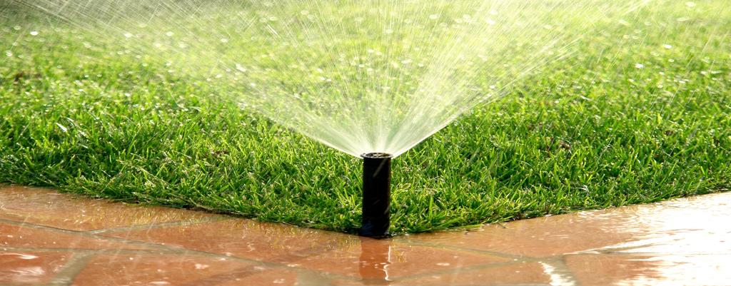 Watering Basics Average 1 inch per week Best to apply at once Water the