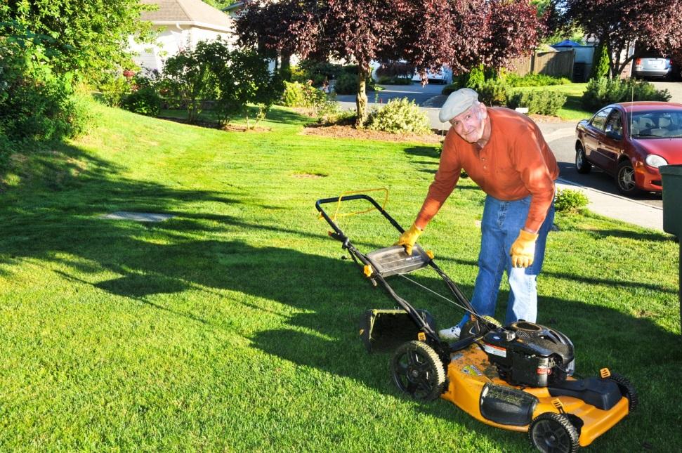 Mowing Basics Keep turf 2 ½ 3 ½ tall 1/3 Rule never remove more than 1/3 of leaf tissue (ex.