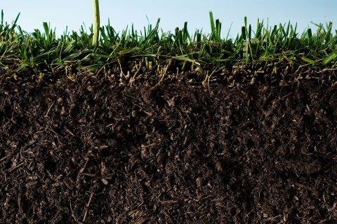 5.1 Introduction to Soil Systems