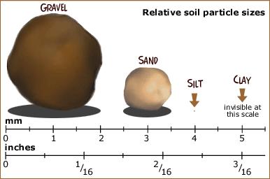 Smallest Soil Particles Clay < 0.002 mm in diameter Silt 0.002 0.05 mm in diameter Sand 0.