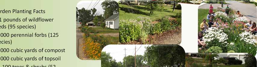 Rain Garden Planting Facts 111 pounds of wildflower