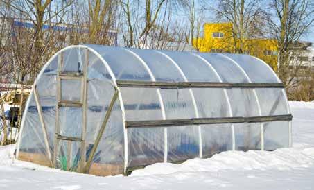 Above: A simple, home-made hoop house in an urban setting. PVC pipes and poly plastic let the growing season start early.
