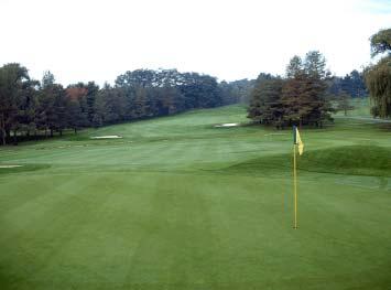 General Statistics New York s 860 golf courses maintained 101,480 turf acres, an average of 118 acres per course.