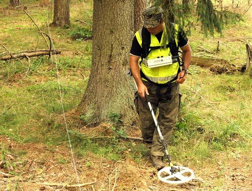 EOD in forests with use
