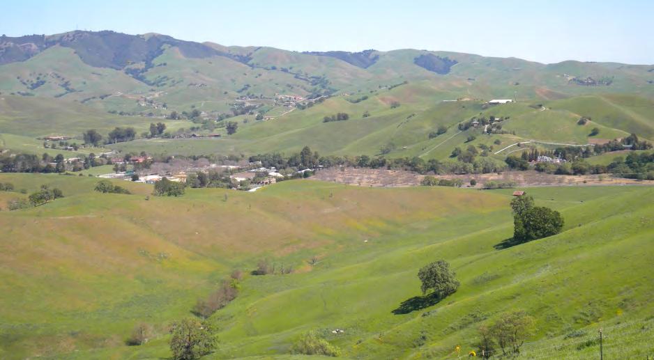 Photograph 2: Looking east towards Southern Site from existing Tassajara Ridge