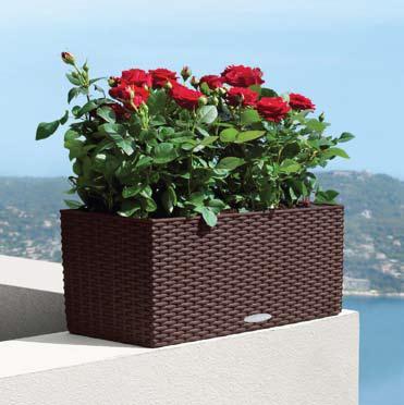 Balconera troughs For situations where space saving is critical that are two