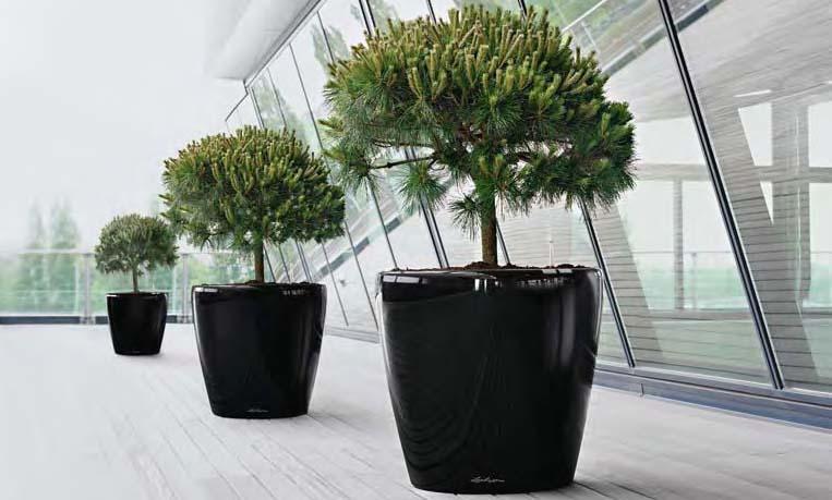 Other Contemporary Self Watering Planters.