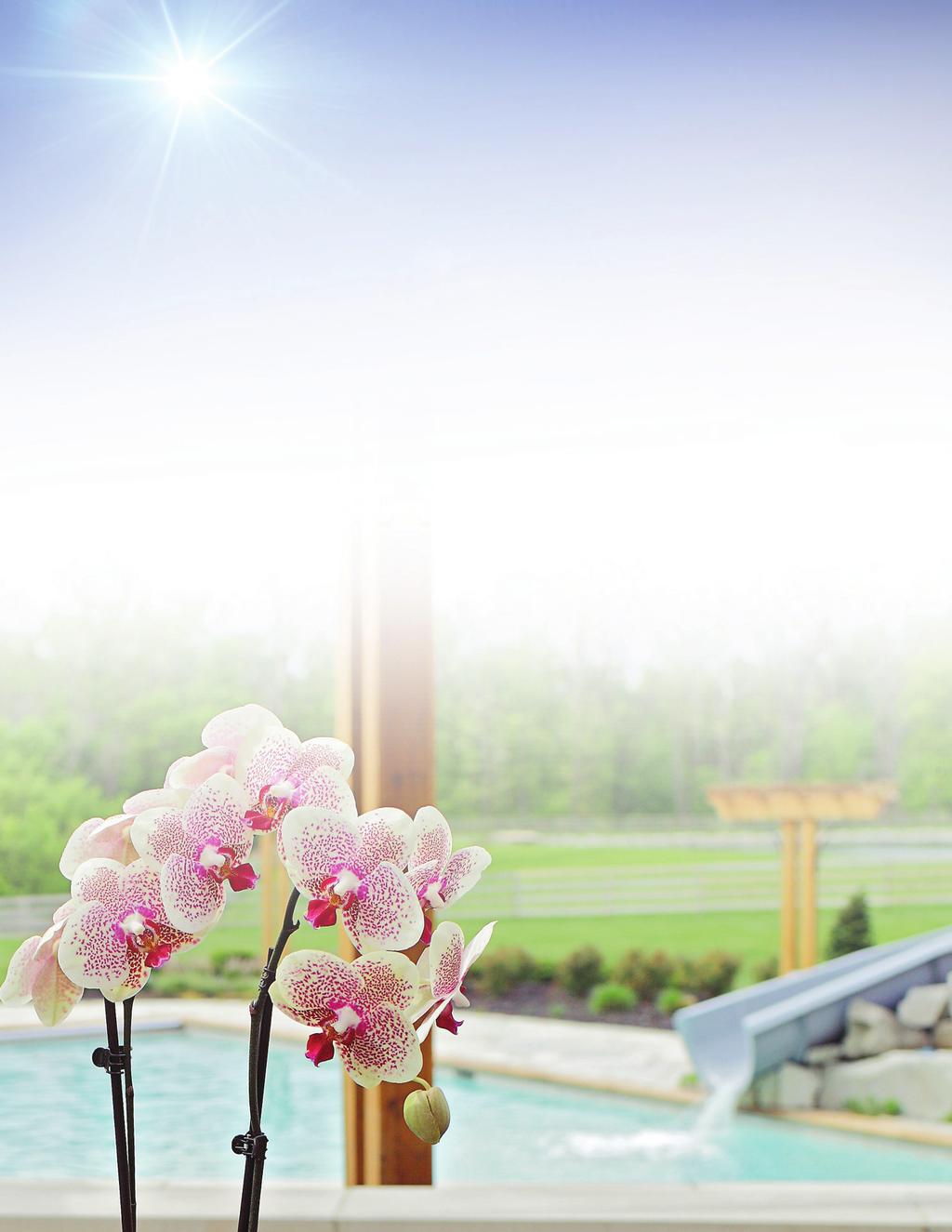 Staying Cool Through Summer While many of the springtime orchid precautions carry over to the summer months, changes in temperature and your schedule might require additional care. What Changes?