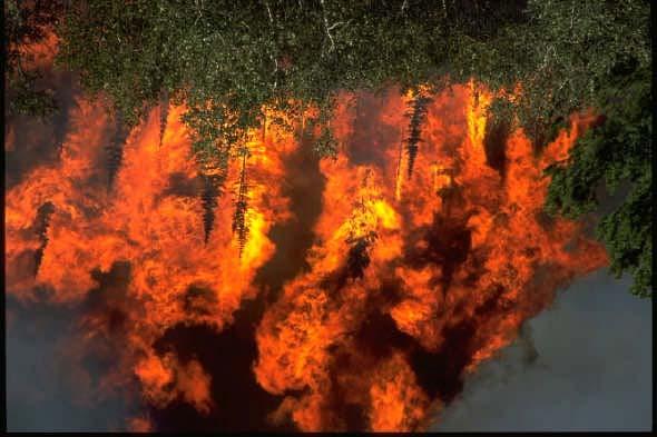 Figure 2 An example of a fire flare-up that can cause saturation or blooming in an infrared sensor.