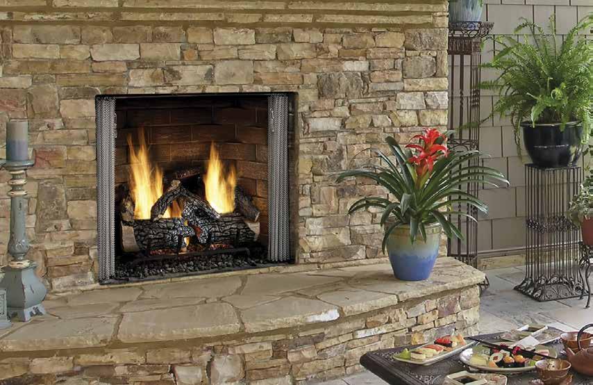 Gas Fireplaces bove: arolina shown with standard mesh.