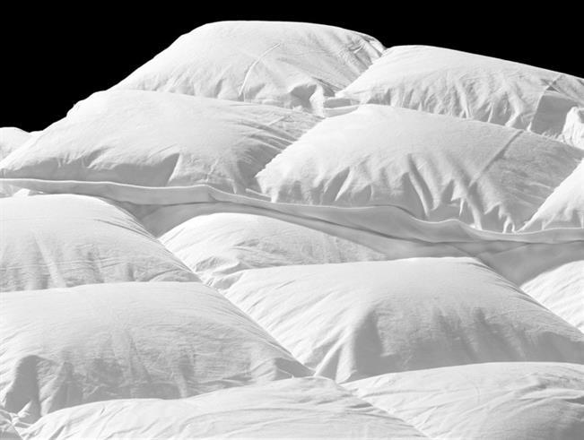 Pillow and Duvet Fillings - Microfiber, Polyester, Cotton, Down/Feather based Pillow
