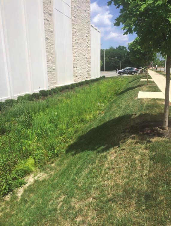 feature for the campus. Butler hopes to have rain gardens installed next summer next to its Atherton Union building. In the future, the University will be home to several more rain gardens.