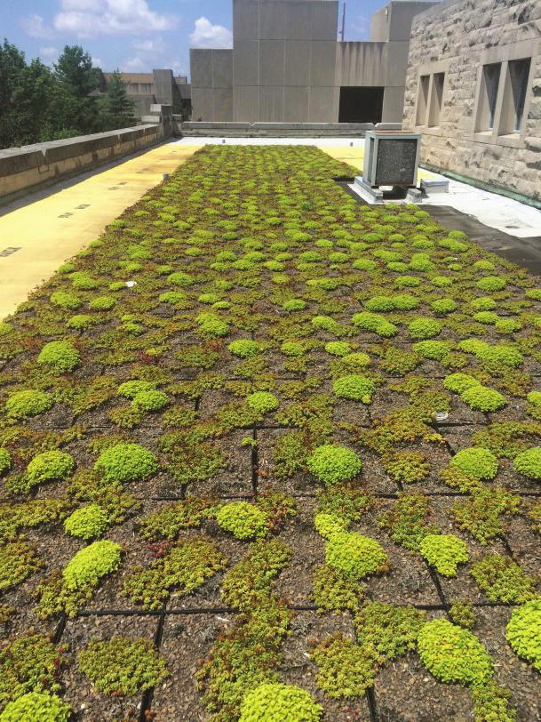 Goal 5: Install Green Roofs Install vegetated green roofs on suitable buildings to reduce the effect of heat islands.
