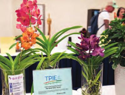 Cool Stuff at TPIE The Cool Products Awards Presentation is a quick and easy way to see what s trending at TPIE, as it showcases the top 15 cool plants and products voted on by buyers at the