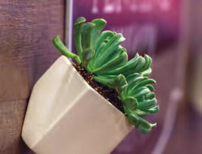 TPIE has the connections you need to seize the Indoor Plant Movement!