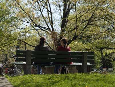 6.4 Direction 8 Improve park spaces Seating, washrooms and shade Parks host a wide variety of uses, including social gatherings ranging from couples taking walks to family picnics and other events.