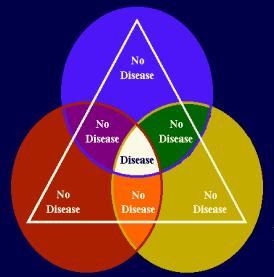 The Plant Disease Triangle Virulent