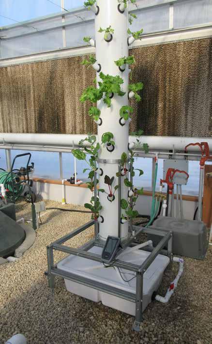 Basic Aeroponic System The aeroponic system is ideal for growing in tight spaces. Multiple systems arranged in the same area allow for maximum use of available growing space.