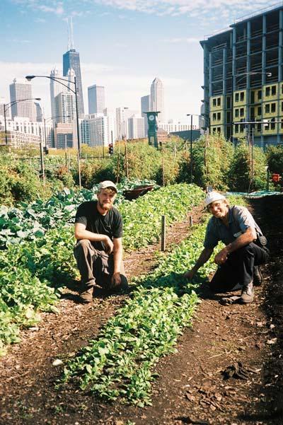 Improving urban food systems Urban farms Vertical-growth
