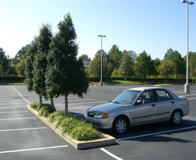 parking. Shade trees and trees of sufficient size at maturity Appropriate screening of parking area from Public Street shall be planted in parking lot landscape islands.