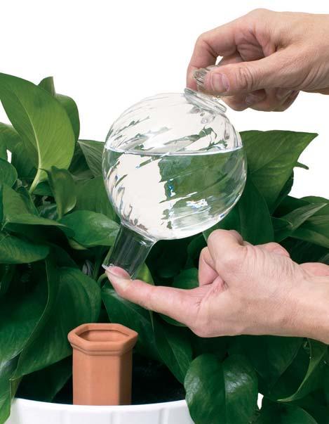 24oz Watering Globe & Stake Set 24oz Clear Spiral Fluted Watering Globe & Stake Set 8128 6 individually boxed sets / case Includes