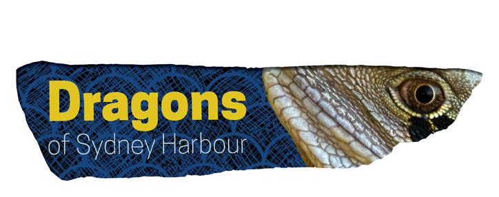 About the Project Dragons of Sydney Harbour aims to give our urban Eastern Water Dragons a helping hand by highlighting their role in the ecosystem and threats to their survival at a series