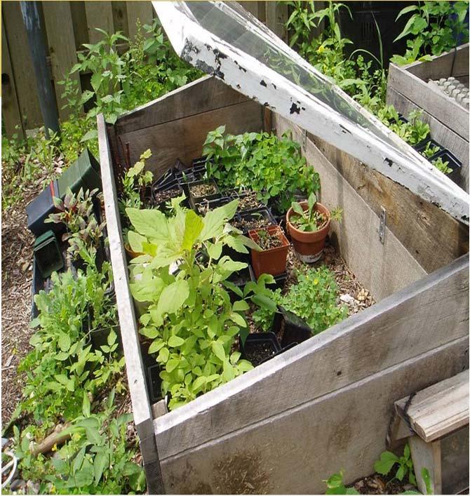 Cover Crops Temperature Changes Season Extenders Cold frame protection from the