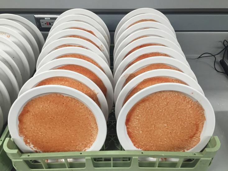 20 Plates Covered with Dry Tomato Paste Prior to Cleaning 20 Plates After Cleaning with PlateScrape Methodology Testing was performed with 9 inch diameter plates weighing 1.3 lb each.