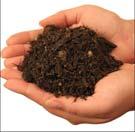 Soils, Nutrients and Fertilizers Part I Handouts: Soil