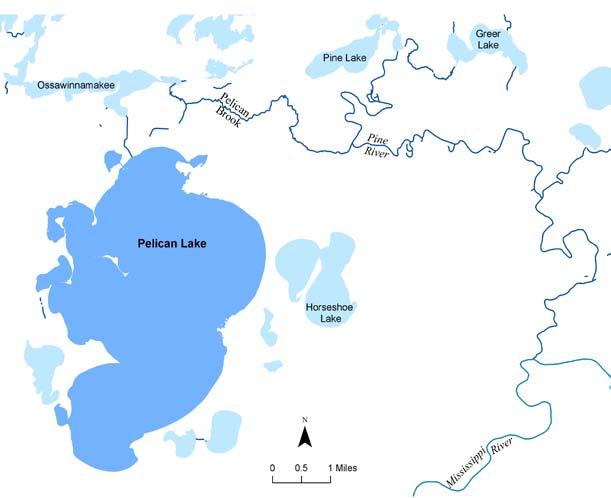 Introduction Pelican Lake is located east of the city of Breezy Point in Crow Wing County, north central Minnesota (Figure 1).