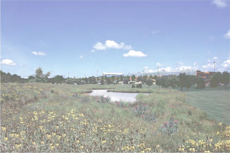 Principles for Ecological Landscape Design in Brownfield Business Parks Part of USDA Forest Service research project # 00-JV-11231300-033: Aligning Social and Ecological Drivers of Urban Landscape