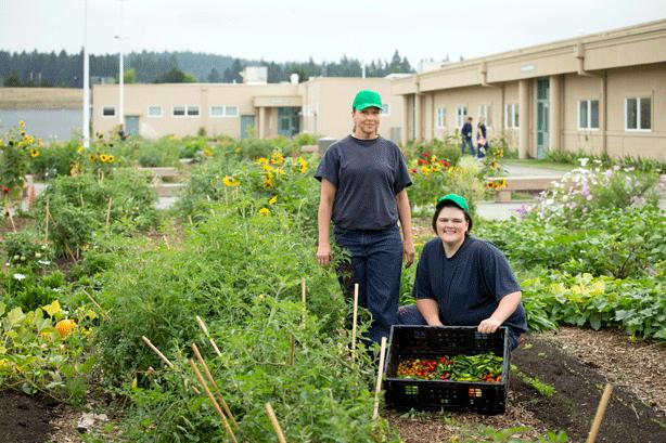 The Coffee Creek garden. Photo by John Valls. Debbie Rutt, who helps manage the garden program, says at any one time, Coffee Creek has 10 full- time gardeners/inmates working in the prison garden.