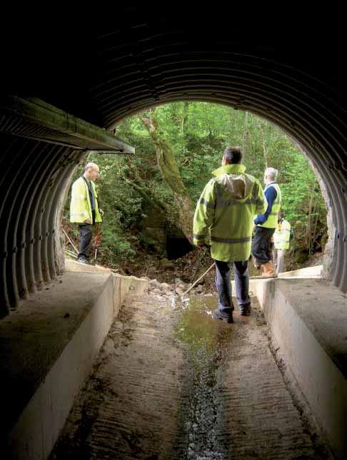 New culvert, with existing